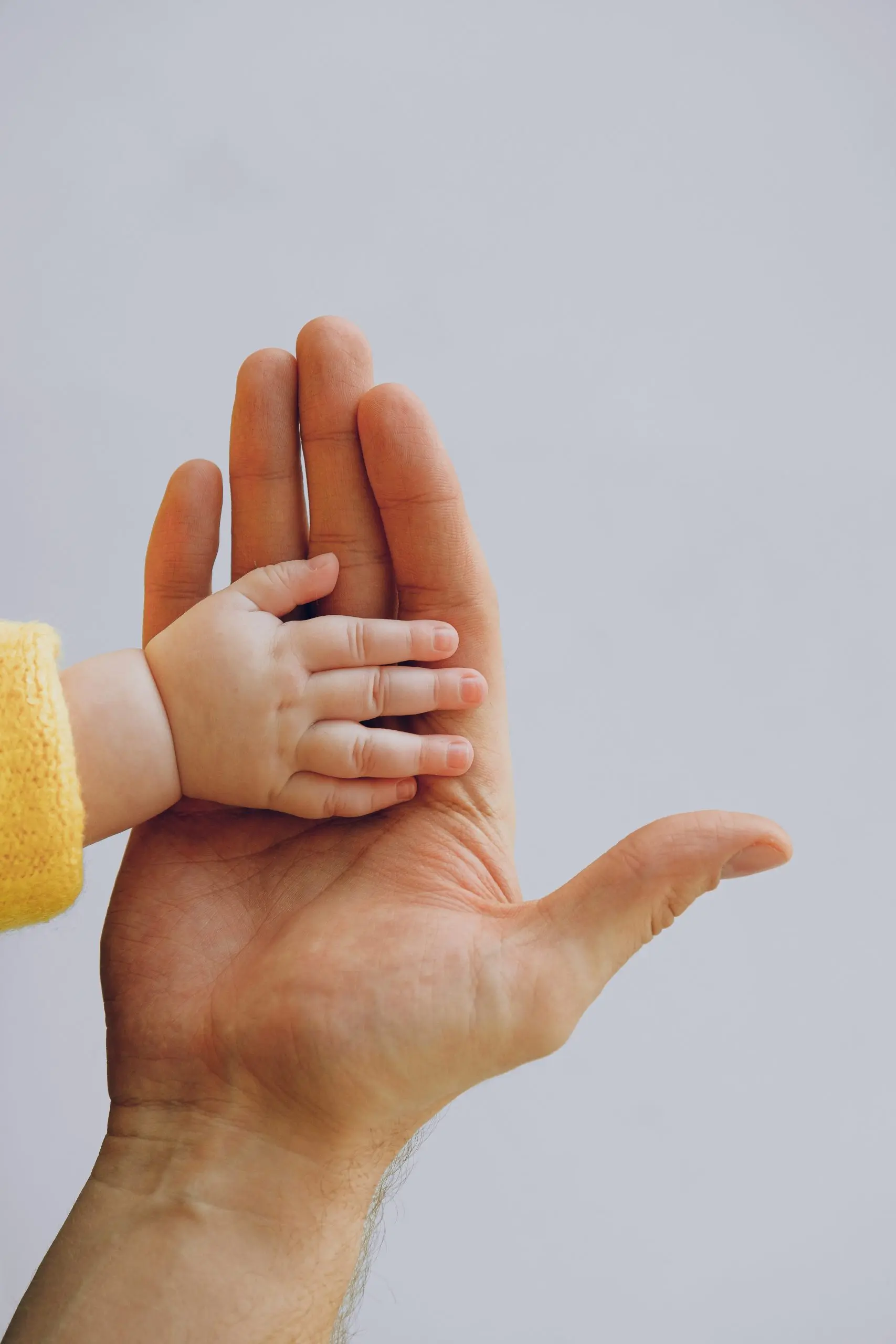 Danish Nanny Agency